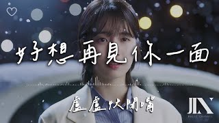 盧盧快閉嘴 l 好想再見你一面【高音質 動態歌詞 Lyrics】 [upl. by Ardeed]