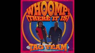 Tag Team  Whoomp There It Is Instrumental Oldschool Hip Hop 1993 [upl. by Narcis460]