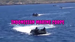 indonesian marine corps profile [upl. by Odeen962]