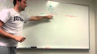 tRNA and Protein Synthesis Made simple [upl. by Ekeiram]