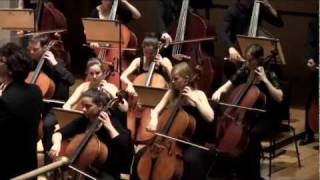 Brahms Symphony no4 movement 3 [upl. by Pond]