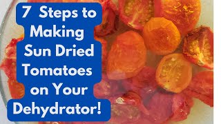 7 Steps to Making Sun Dried Cherry Tomatoes on Your Dehydrator [upl. by Aratnahs632]