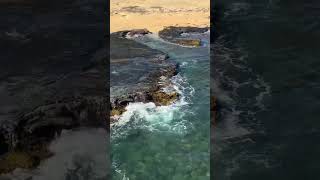 Untouched Hawaii Best Beaches  Visiting the Forbidden Island of Niihau from Kauai Hawaii Tour 4K [upl. by Xonnel]