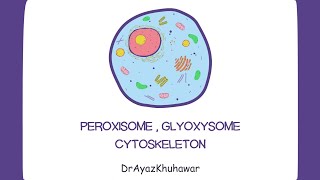 Peroxisome  Glyoxysome  Cytoskeleton  PART10 [upl. by Amathiste]