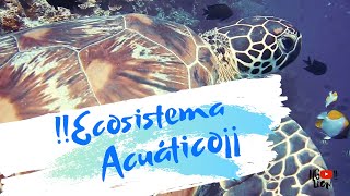 Ecosistema Acuatico [upl. by Efren]