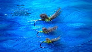 Tying a BWO Emerger May Fly by Davie McPhail [upl. by Ruffo]