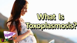 What Is Toxoplasmosis Symptoms and Causes  Health Tips [upl. by Adaval]