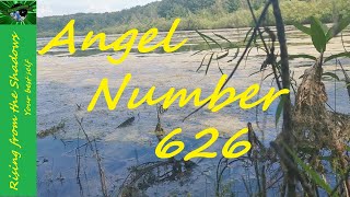 626 Angel Number 626  Significance amp Meaning [upl. by Tap]