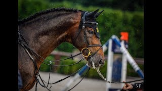 Rainbow Dressage Music Video [upl. by Ailic]