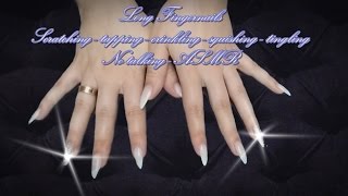 Long Fingernails  tapping scratching squishing crinkling tingles  no talking ASMR [upl. by Ellerihs]