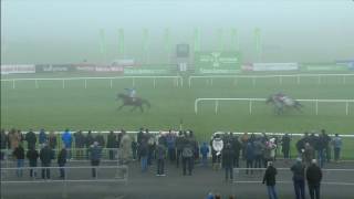 Punchestown Highlights 20th November 2016 [upl. by Naellij512]