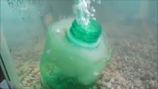 Como hacer un filtro casero interno para acuario  facilrapido y economico [upl. by Anthea621]