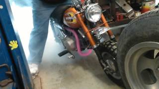 Pitster Pro 155z  Honda Z50 burnout [upl. by Freudberg984]