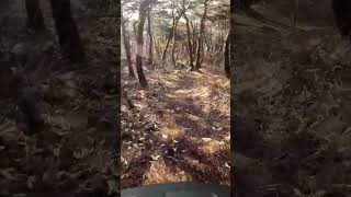 트렉 레일 98 첫 라이딩 ㅋㅋ 재밋네 요놈 Trek session99 Rail 98 gx axs emtb [upl. by Harad]