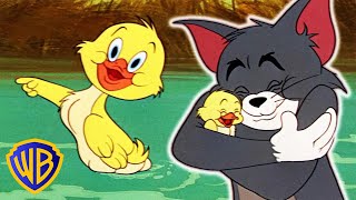 Tom amp Jerry  A Little Mischief Never Hurt Nobody  Classic Cartoon Compilation  WB Kids [upl. by Suirrad]