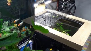 Koi Stock Tank in the Garage  Ready for Winter [upl. by Yanarp]