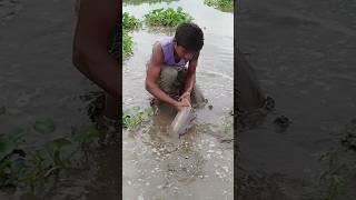 Amazing Hand Fishing  Traditional Big Fish Catching By Hand Fishing in Billsfishingvideo fishing [upl. by Aidnyc303]