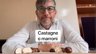 Castagne e marroni quali le differenze e come sceglierli ￼danielepaci agronomo [upl. by Barlow]