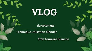 NOUVEAU VLOG  Technique blender  Effet fourrure blanche [upl. by Golightly]