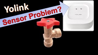 Do you believe Yolinks leak sensor will prevent water damage [upl. by Ennaeel]