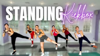 45 MIN Standing ABS Cardio Core Kickbox amp Arm Sculpt  Low Impact  NO JUMPING [upl. by Leind]