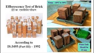 How do Efflorescence Test of Brick According to IS 3495 Part III  1992 [upl. by Areivax]