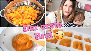 BEIKOSTSTART 👶 DER ERSTE BREI FÜRS BABY ab dem 4 Monat  REZEPTVIDEO amp ALLES WAS DU WISSEN MUSST [upl. by Shatzer191]