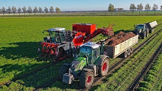 XXL Harvest Special  Franzen Agriculture  Potatoes amp carrots  Planting tulips amp wheat [upl. by Ernaldus638]