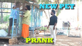 NEW PET Prank  Prankster Rahul Azar  224 [upl. by Eetnod925]