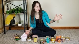 Top 11 Best Wet Cat Foods We Tested Them All [upl. by Robson934]