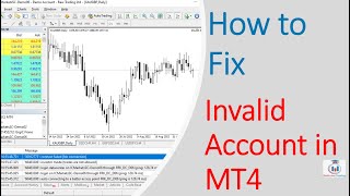 How To Fix Invalid Account in MT4 [upl. by Gavrielle]