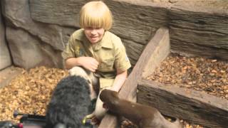 Come behindthescenes with Robert at Australia Zoo [upl. by Graniela]