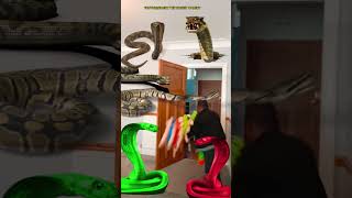 Animal funny video Anaconda snake python in my house in real life bhoot wala usa bhojpuri vfx 15 [upl. by Aslam]