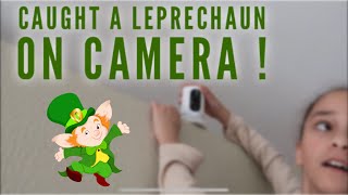 St Patrick’s Day Stem Activity  Building a Leprechaun Trap [upl. by Claudell]