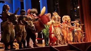 Disneys The Lion King Musical  Lyceum Theatre London January 2024 Curtain Call [upl. by Etaner]