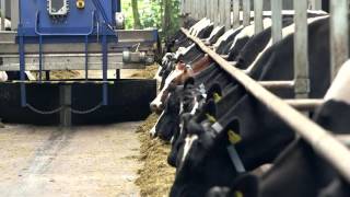 DeLaval Optimat  Automated Feeding System [upl. by Eiramit636]