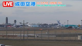 【LIVE】20240309 Tokyo NARITA Intl Airport Plane Spotting 成田空港 [upl. by Elodie]