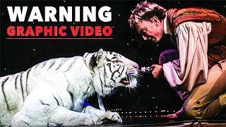 UNRELEASED Video of Siegfried and Roy Tiger Attack [upl. by Erik]