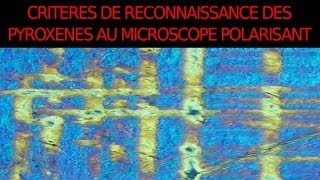 Pyroxènes critères de reconnaissance en LPnA vs LPA SVT Hervé Kempf lycée de lElorn [upl. by Farrow]