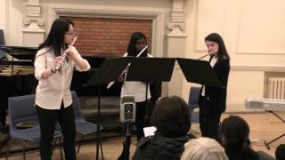 Tcherepnin Op 59 Movements 13 Yr12 Flute Trio [upl. by Innes109]