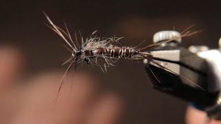 Tie these 2 GREAT stonefly patterns [upl. by Werner]