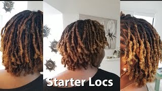 Starter Locs on Curly Natural Hair  Loc Journey Vlog [upl. by Javed]