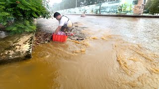 Unclogging the Citys Lifeline Emergency Storm Drain Clearing to Avert Flash Floods [upl. by Jacki]