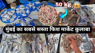 Colaba Sassoon Dock Fish Market  Colaba Wholesale Fish Market  सस्ता फिश मार्केट  Hrutik Kadam [upl. by Ynnaej]