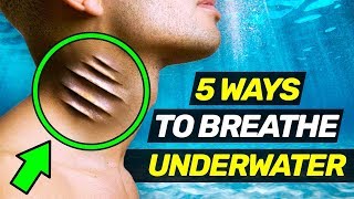 5 Insane Ways to Breathe Underwater [upl. by Aneert]