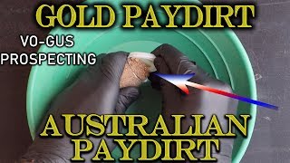 Gold Prospecting at Home 37  VoGus Prospecting Australian Paydirt [upl. by Leiser]