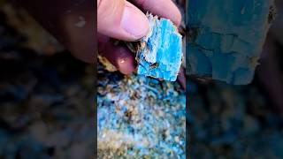 An Amazing Chunk of Kyanite Found ⛏️💎 shorts [upl. by Monte842]