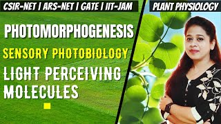 Photomorphogenesis  Photomorphogenesis in Plants CSIR NET  Sensory Photobiology CSIR NET [upl. by Manuel630]