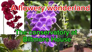 P4Conservatory Biltmore Estate Asheville NC plantloversorchids exotictropicalplantsnanay71 [upl. by Eetsim786]