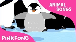 Waddle Emperor Penguin  Penguin  Animal Songs  Pinkfong Songs for Children [upl. by Camellia969]